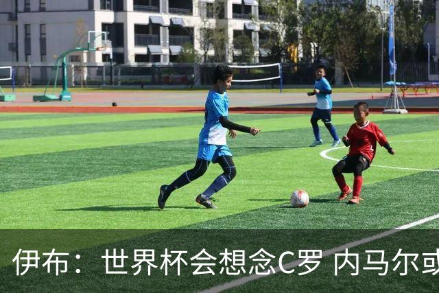 伊布：世界杯会想念C罗 内马尔或许和莫德里奇一样退出了国家队
