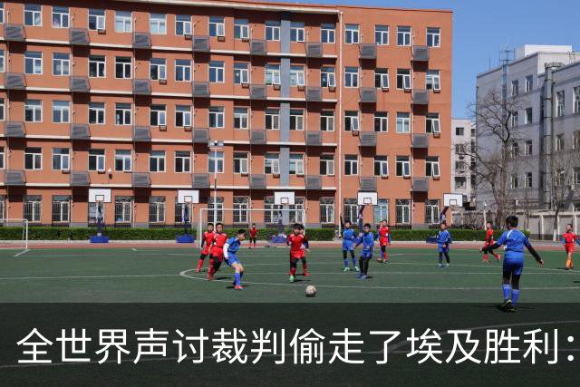 全世界声讨裁判偷走了埃及胜利：阿根廷名宿承认萨拉赫点球被无视