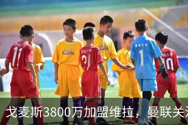 戈麦斯3800万加盟维拉，曼联关注霍尔、罗宾逊并签下18岁边锋